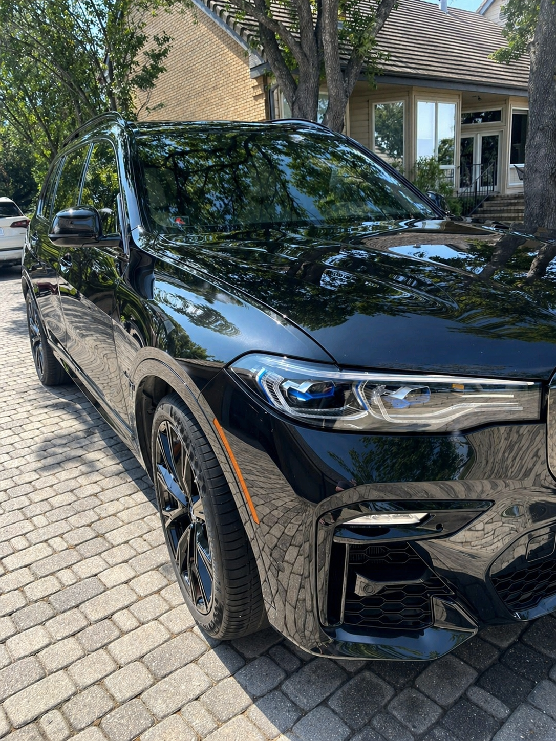 1-Step Paint Correction by Whales Details