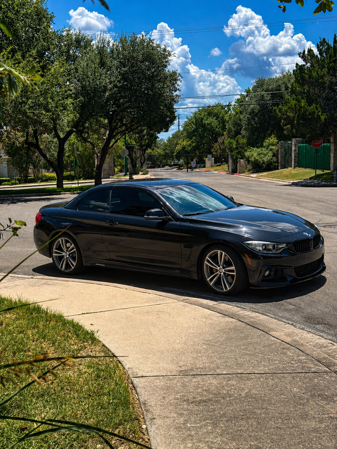How Cedar Pollen Destroys Austin Car Paint (And What To Do About It)